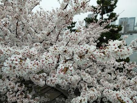 f:id:aoumiwatatsumi:20210331230112j:plain