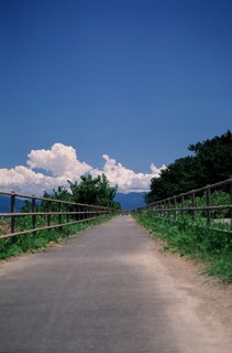 path.jpg