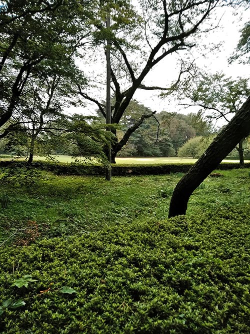 f:id:aoyagi-coffee:20181020003047j:plain