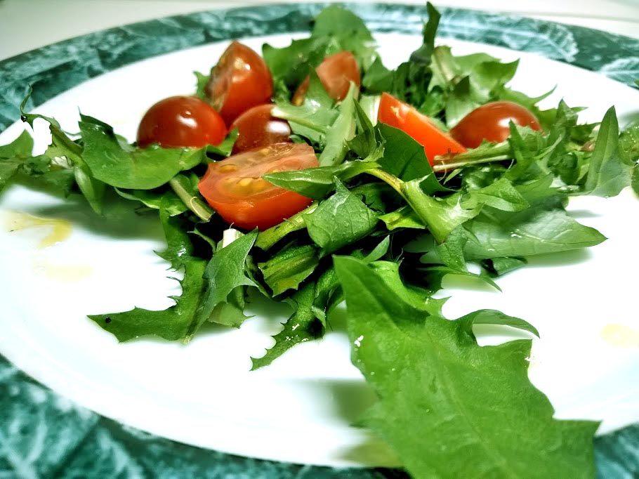 f:id:aoyagi-coffee:20190414234349j:plain