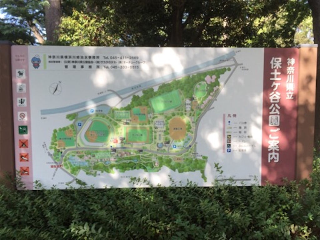 f:id:aoyagiphysical:20180906000457j:image f:id:aoyagiphysical:20180906000457j:image