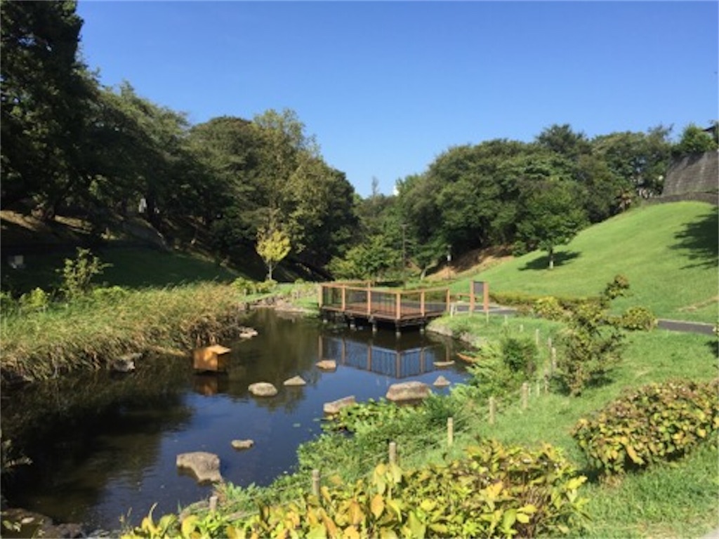 f:id:aoyagiphysical:20180906000509j:image f:id:aoyagiphysical:20180906000509j:image