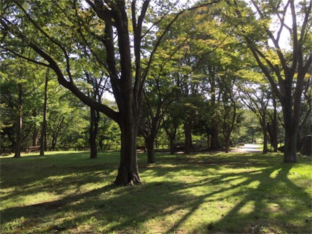 f:id:aoyagiphysical:20180906000700j:image f:id:aoyagiphysical:20180906000700j:image