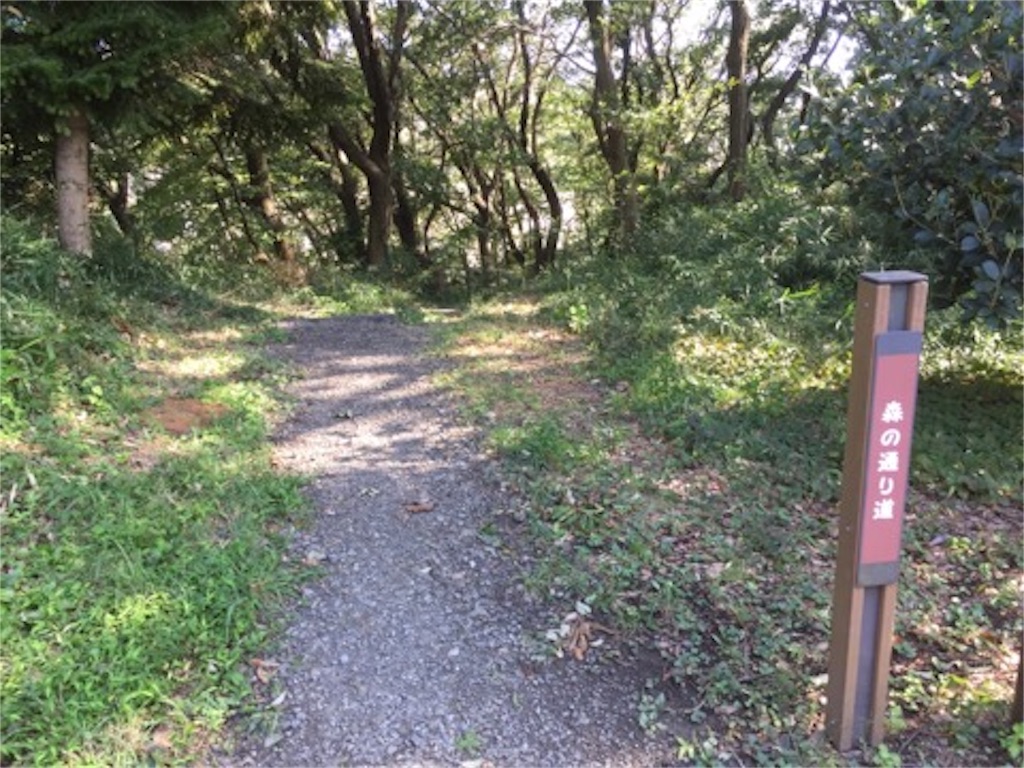 f:id:aoyagiphysical:20180906000715j:image f:id:aoyagiphysical:20180906000715j:image