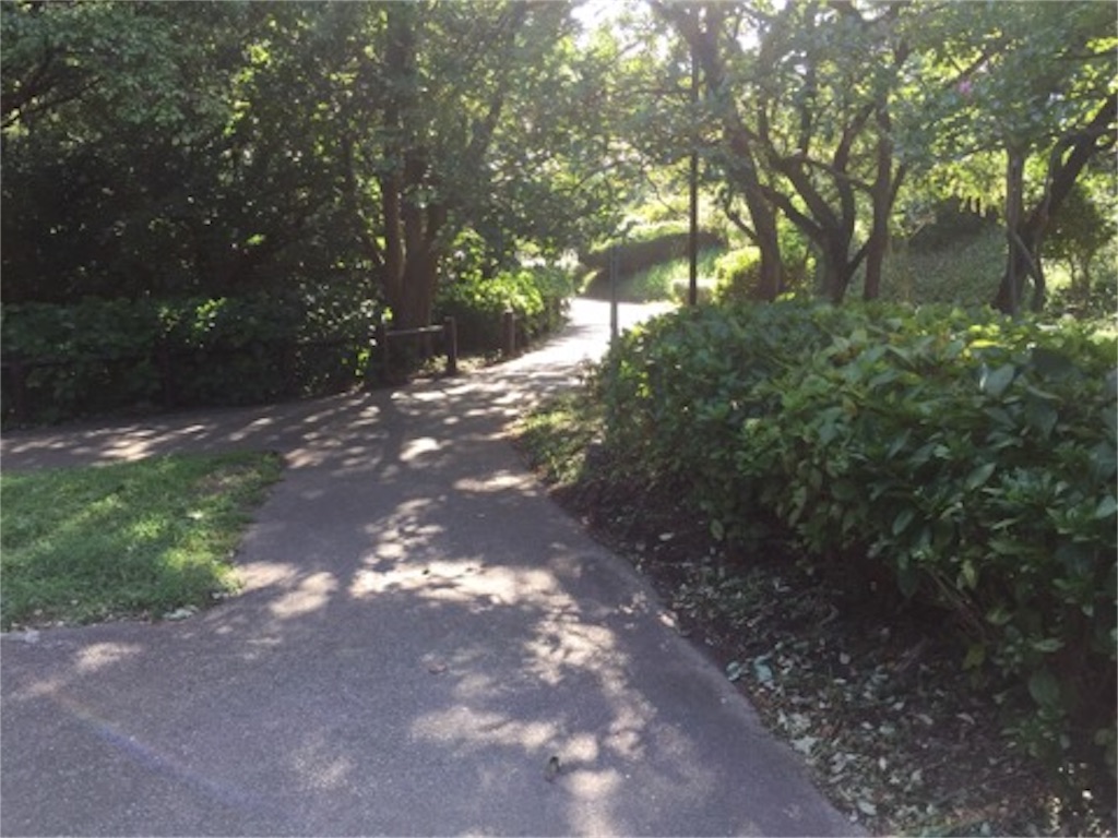 f:id:aoyagiphysical:20180906000730j:image f:id:aoyagiphysical:20180906000730j:image