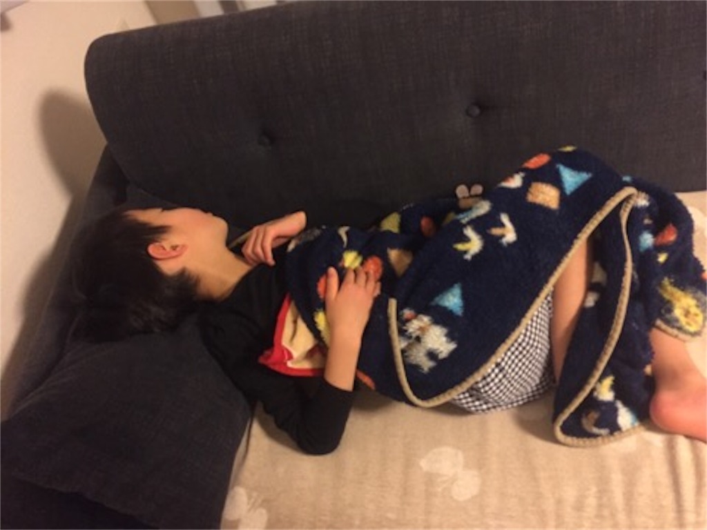 f:id:aoyagiphysical:20190216234345j:image