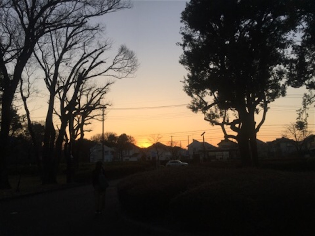 f:id:aoyagiphysical:20190217191520j:image f:id:aoyagiphysical:20190217191520j:image