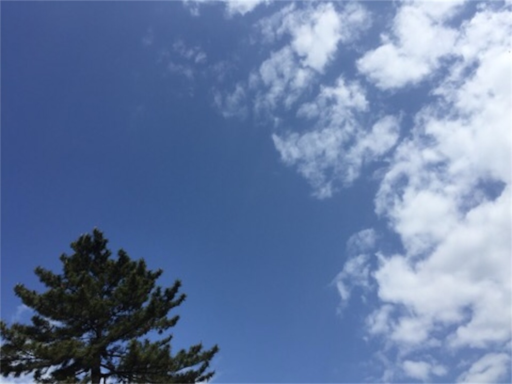 f:id:aoyagiphysical:20190520121937j:image f:id:aoyagiphysical:20190520121937j:image