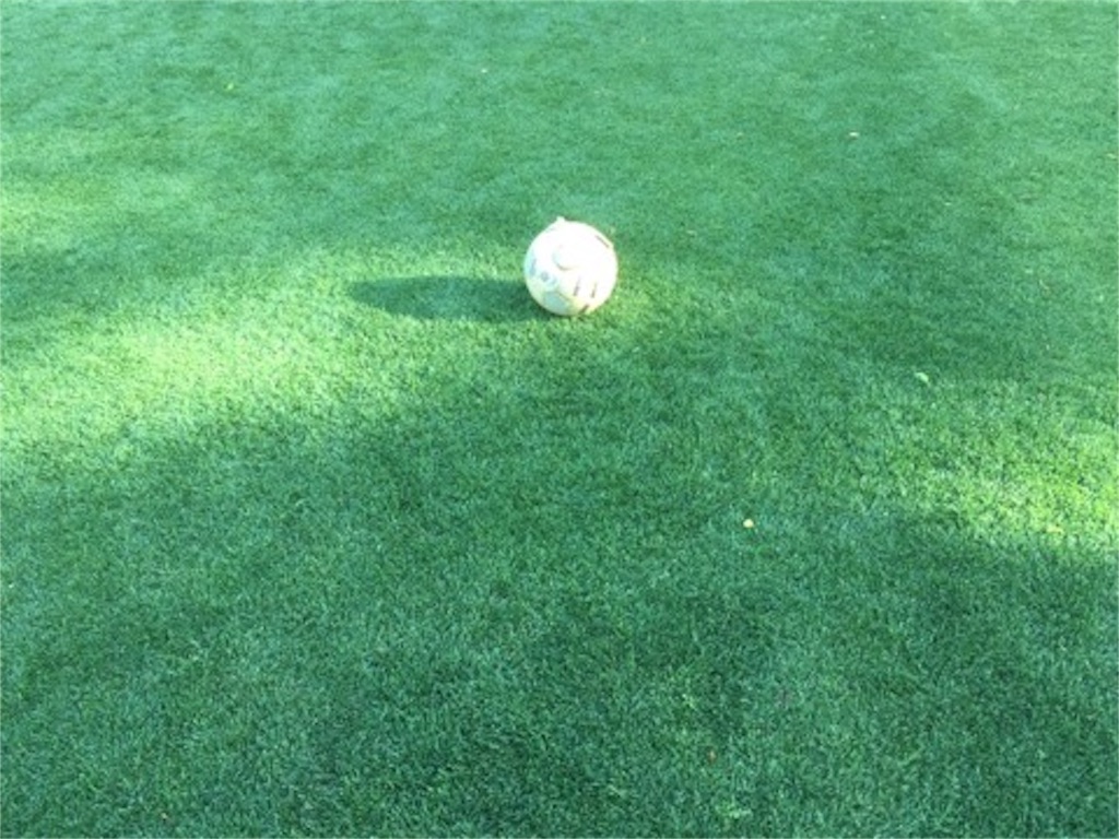 f:id:aoyagiphysical:20190520121952j:image f:id:aoyagiphysical:20190520121952j:image