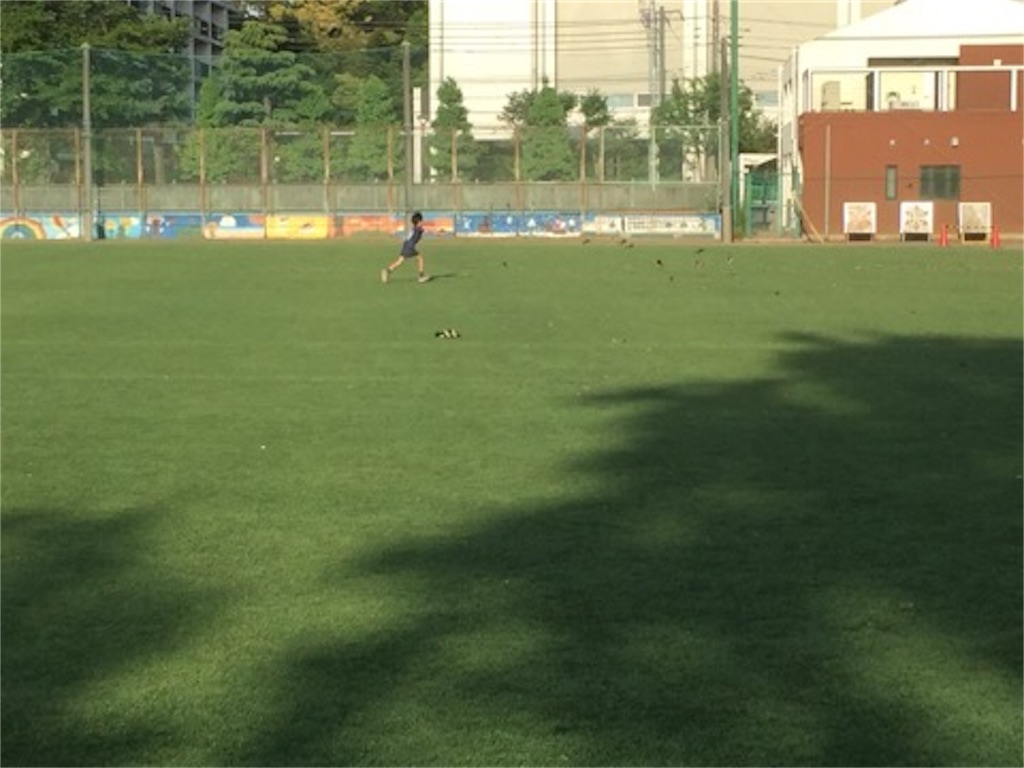 f:id:aoyagiphysical:20190520122010j:image f:id:aoyagiphysical:20190520122010j:image