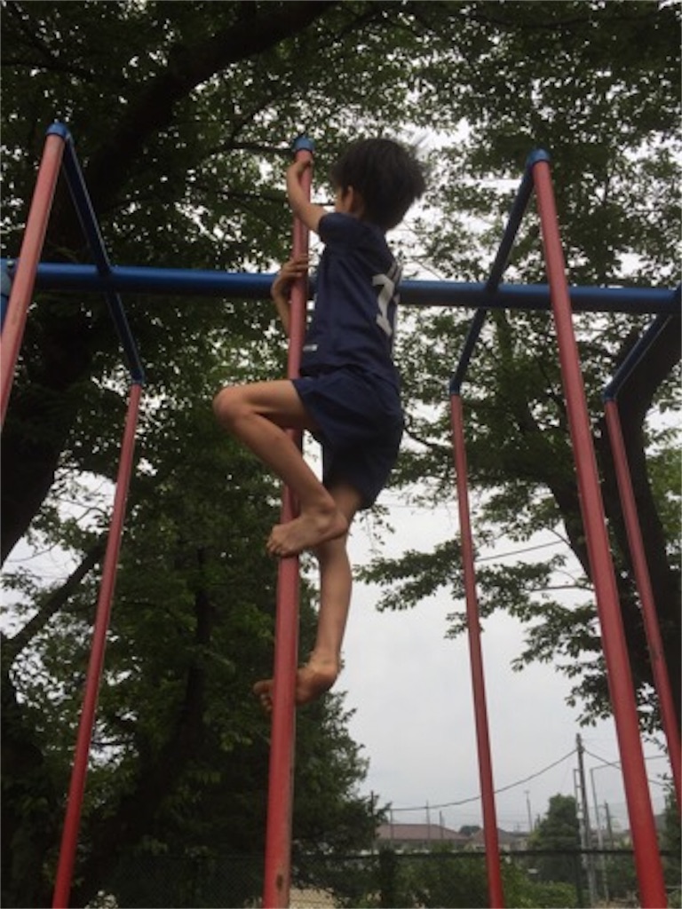 f:id:aoyagiphysical:20190603132956j:image f:id:aoyagiphysical:20190603132956j:image