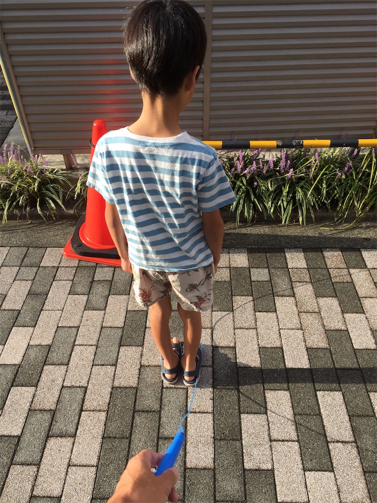 f:id:aoyagiphysical:20190919091934j:image