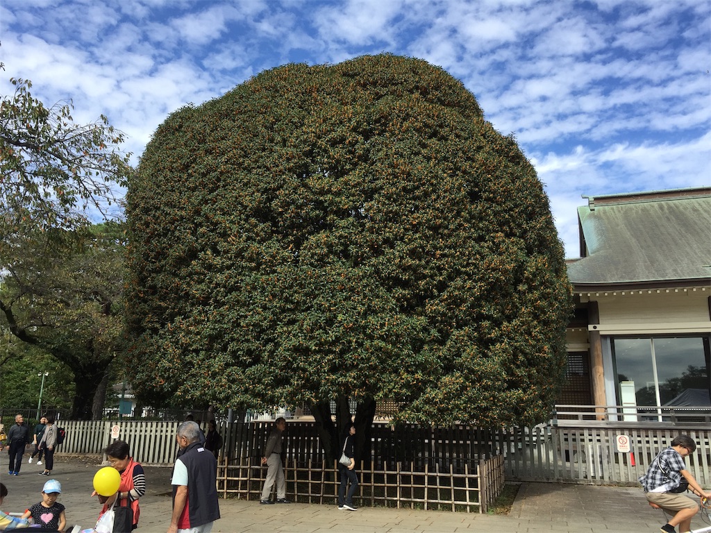 f:id:aoyagiphysical:20191021124444j:image f:id:aoyagiphysical:20191021124444j:image