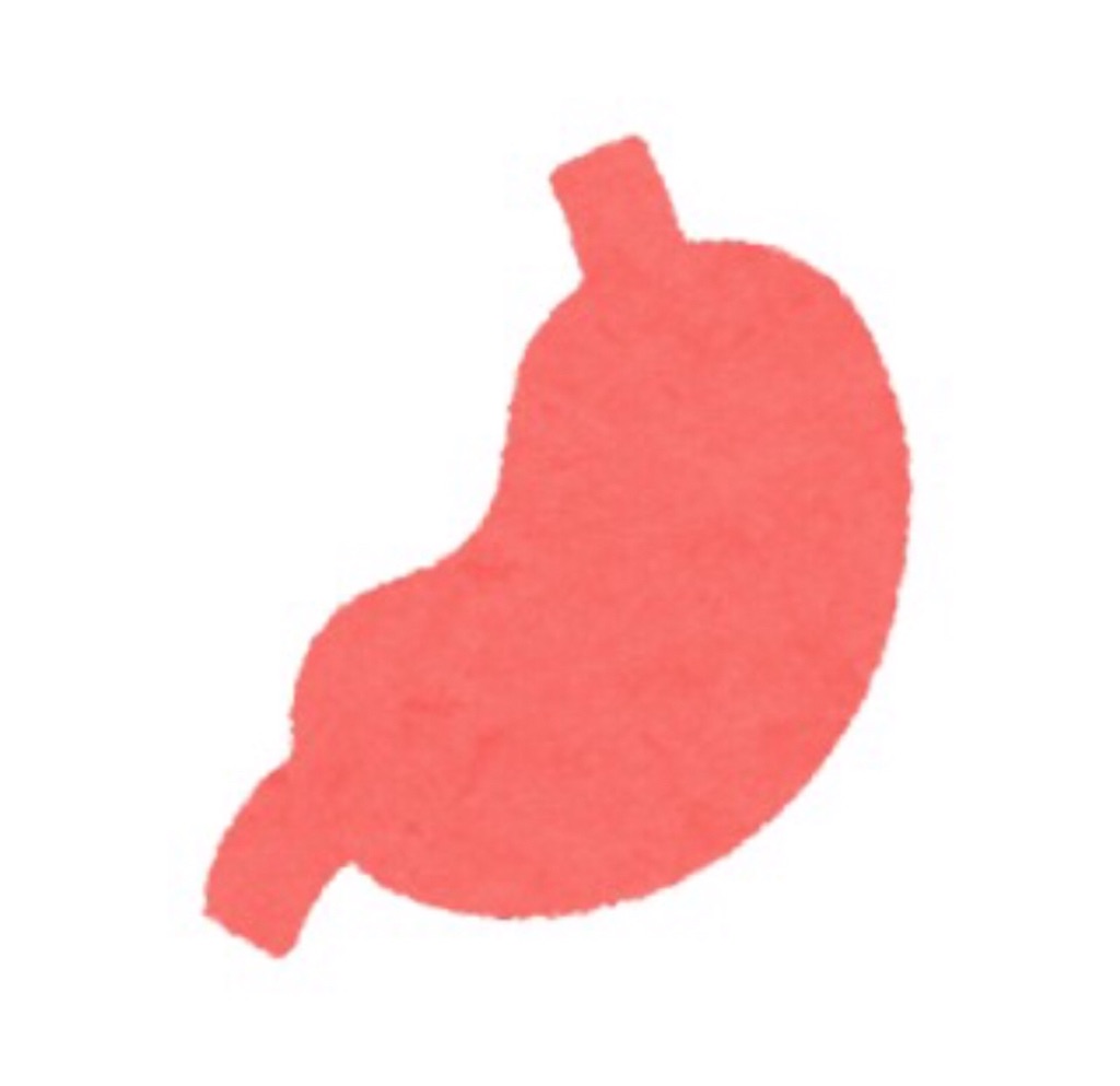 f:id:aoyagiphysical:20191023120024j:image f:id:aoyagiphysical:20191023120024j:image