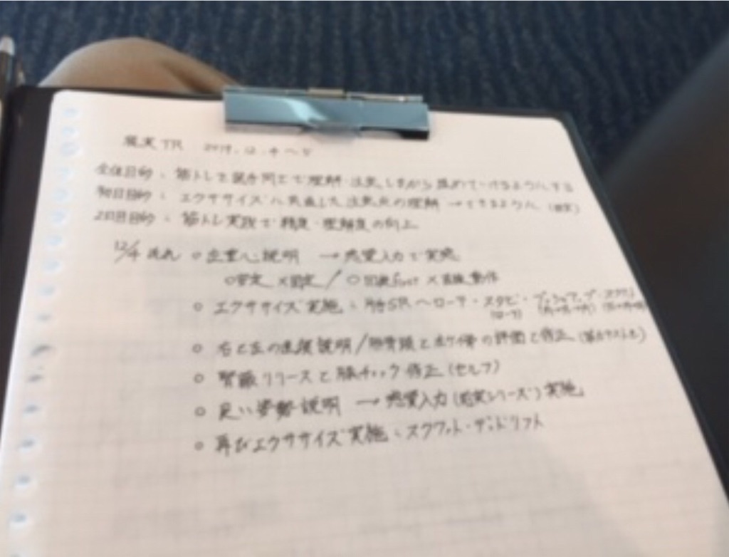 f:id:aoyagiphysical:20191204222529j:image