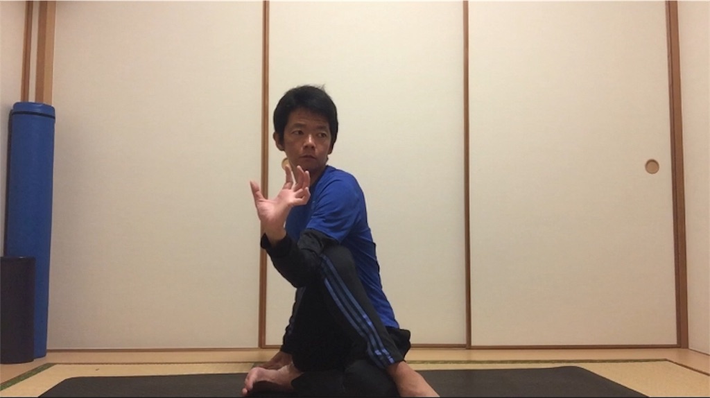 f:id:aoyagiphysical:20200423000609j:image