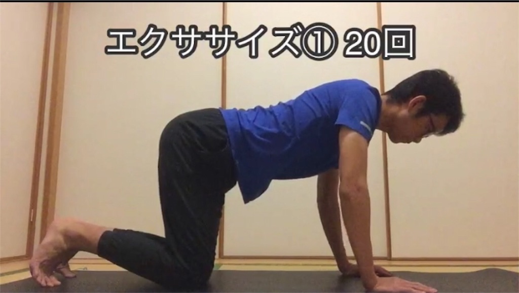 f:id:aoyagiphysical:20200428092043j:image