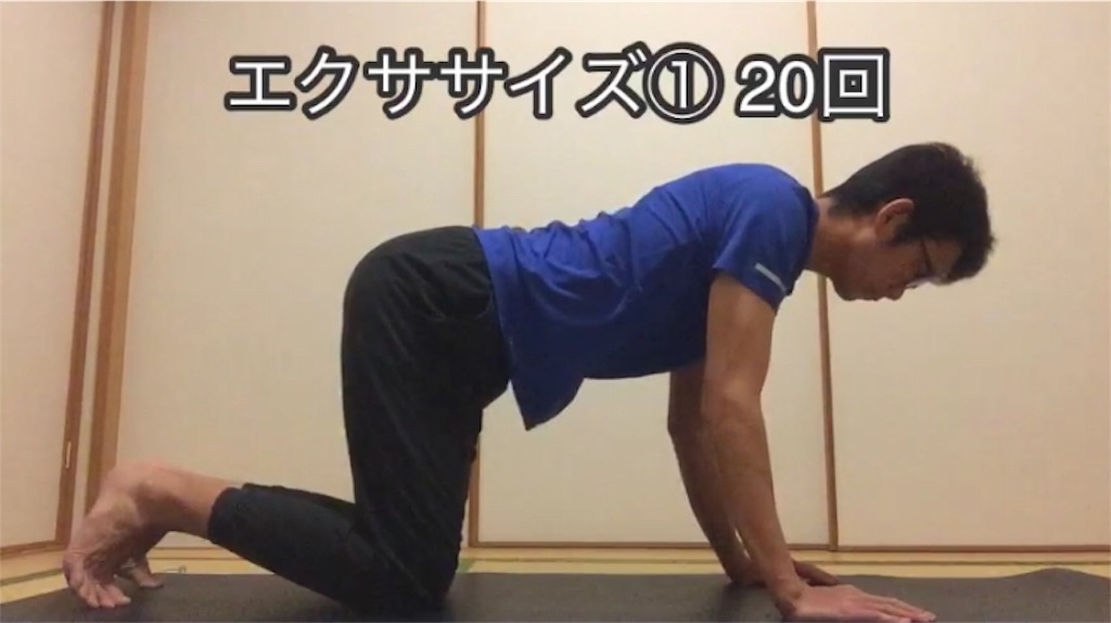 f:id:aoyagiphysical:20200428092201j:image