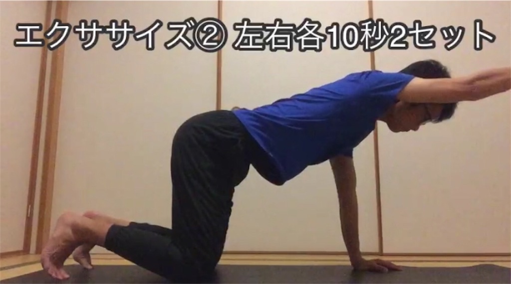 f:id:aoyagiphysical:20200428092219j:image
