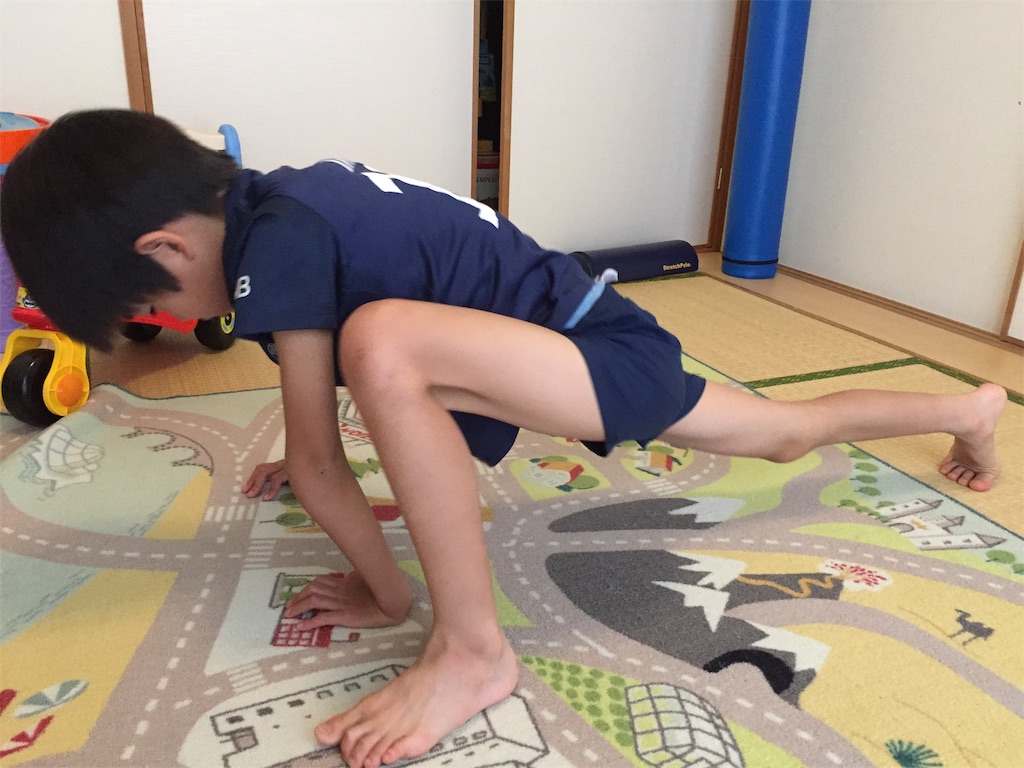 f:id:aoyagiphysical:20200527132107j:image f:id:aoyagiphysical:20200527132107j:image