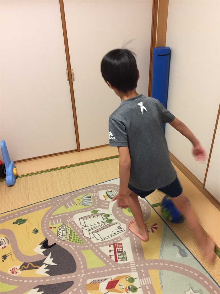 f:id:aoyagiphysical:20200527132124j:image f:id:aoyagiphysical:20200527132124j:image