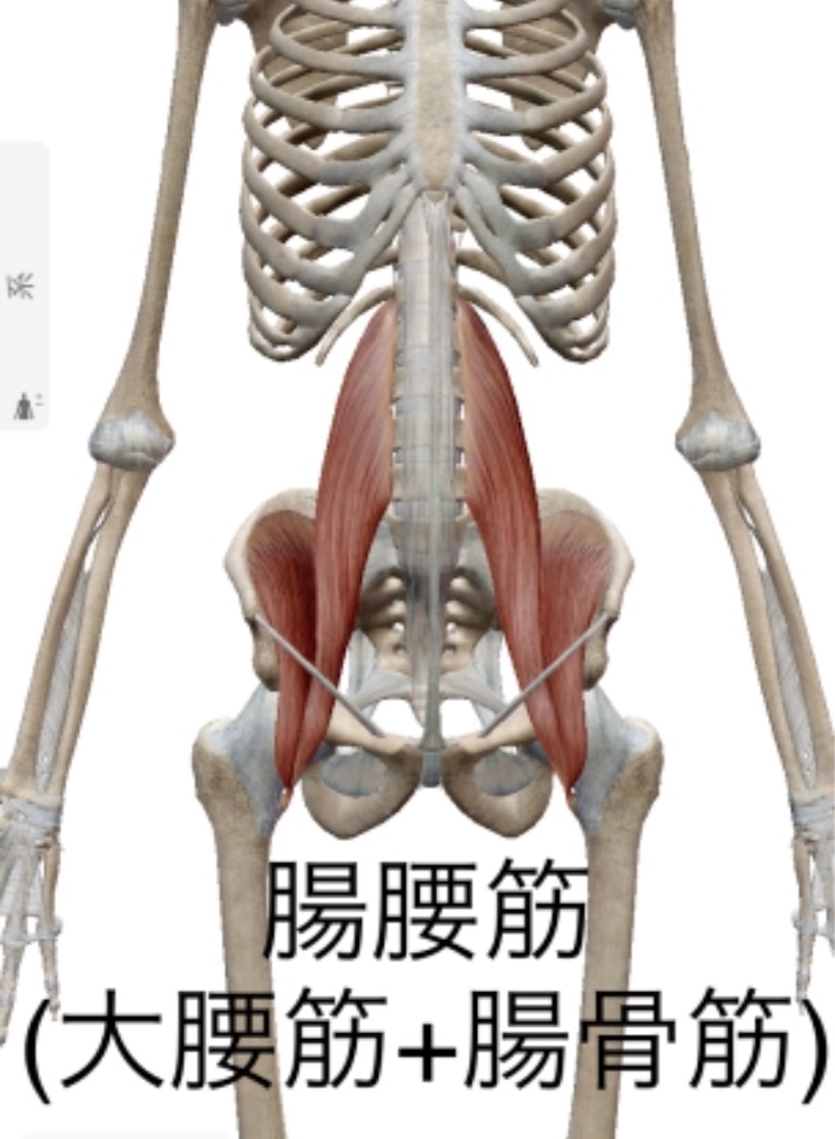 f:id:aoyagiphysical:20200701101508j:image