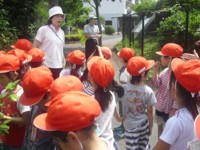 f:id:aoyagisho:20150625145207j:image