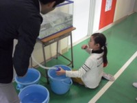 f:id:aoyagisho:20160205145211j:image