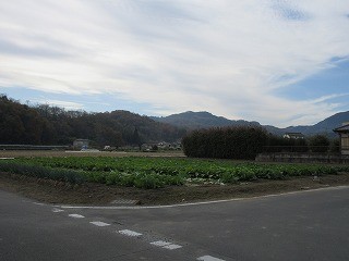 f:id:aoyagisho:20201127134034j:plain