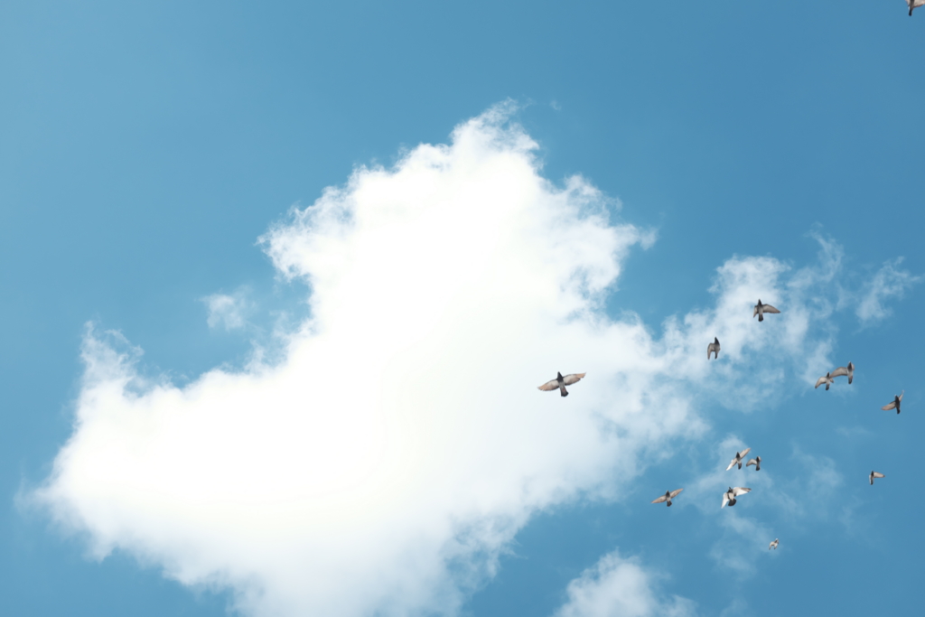 f:id:aoyama18:20170101111113j:plain