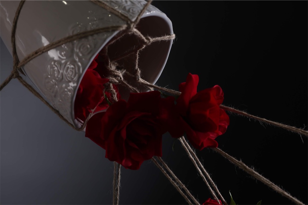 f:id:aoyamanatsuki:20200701092305j:image f:id:aoyamanatsuki:20200701092305j:image