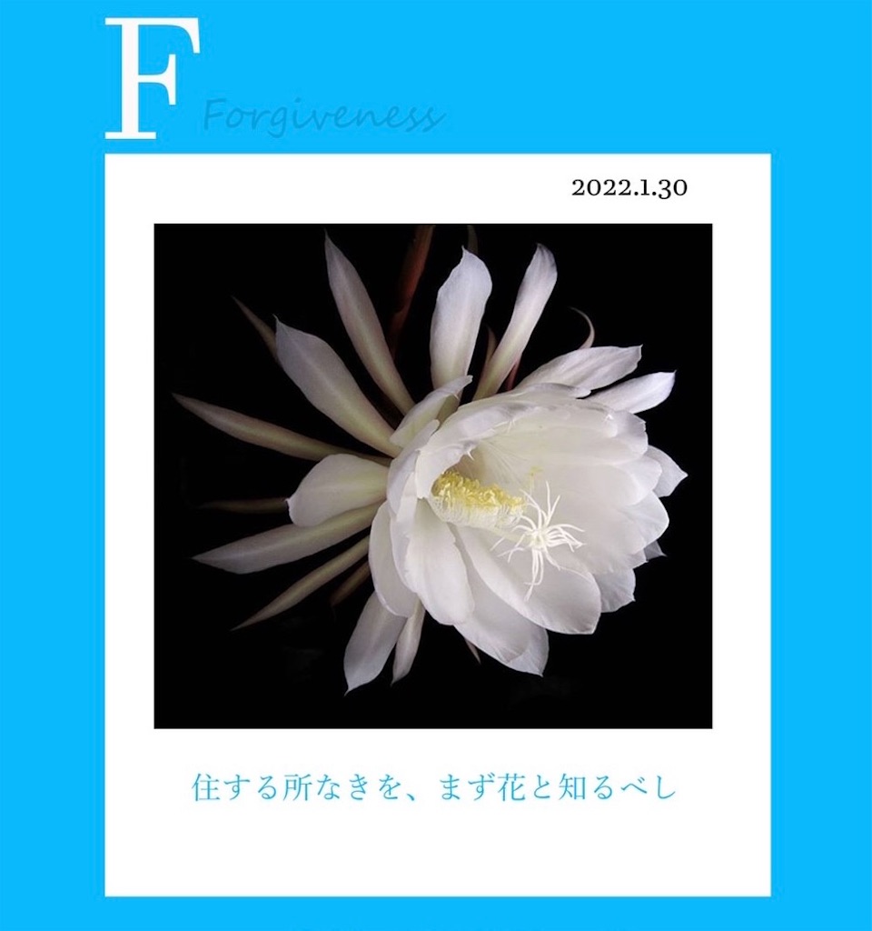 f:id:aoyamanatsuki:20220131085713j:image