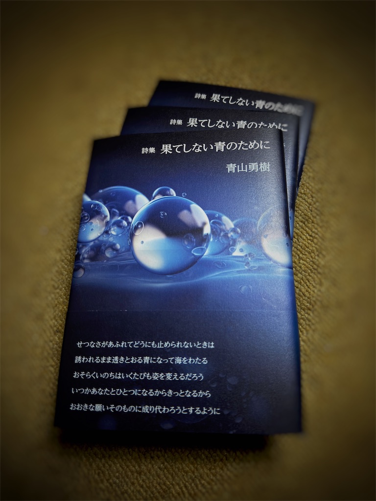 f:id:aoyamayuki:20231216084544j:image