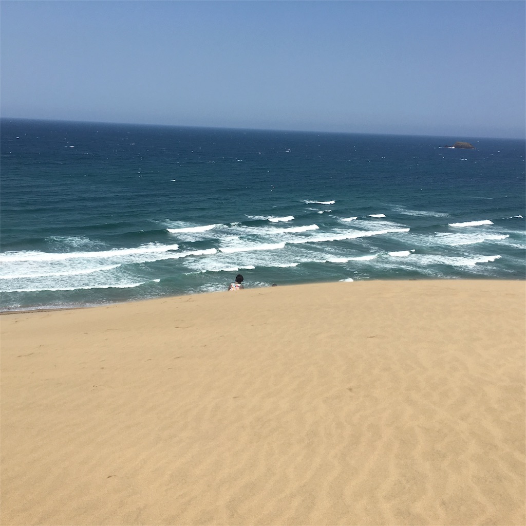 閲覧注意 いかに虫が嫌いかを全力で語ろうと思う フリーランス三十路主婦の雑記ブログ