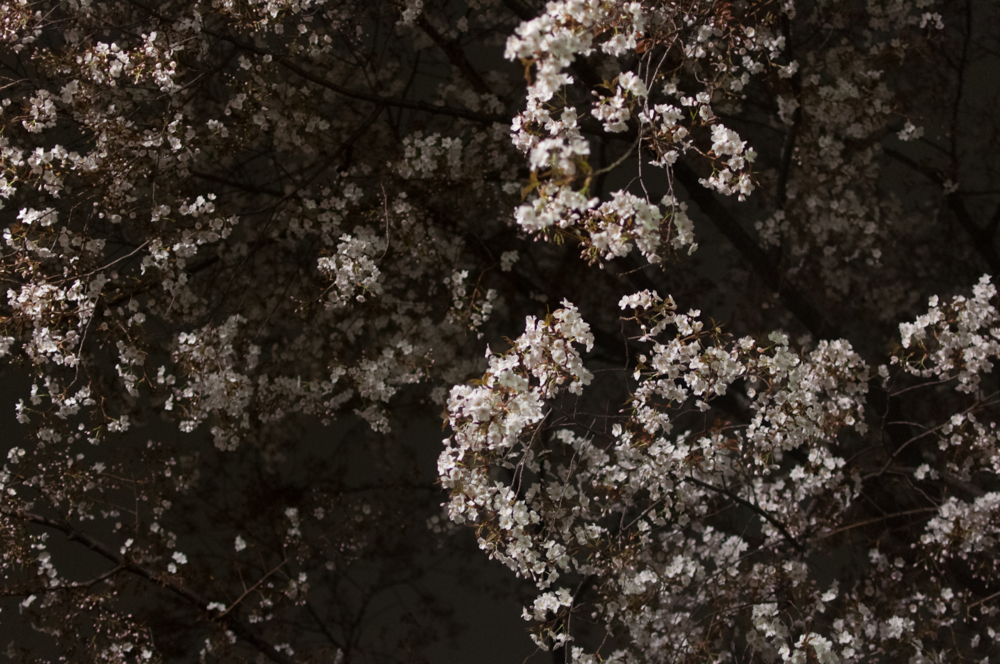 f:id:aoyor:20130324232334j:image:w800