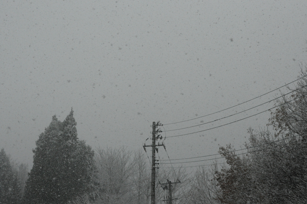 f:id:aoyor:20141202135858j:image:w800