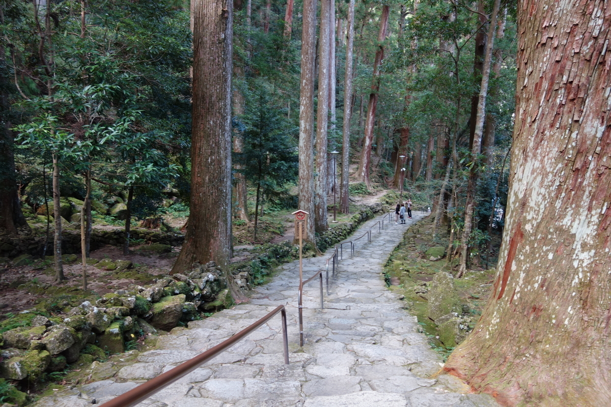 f:id:aozora-gokigen:20200530163822j:plain f:id:aozora-gokigen:20200530163822j:plain