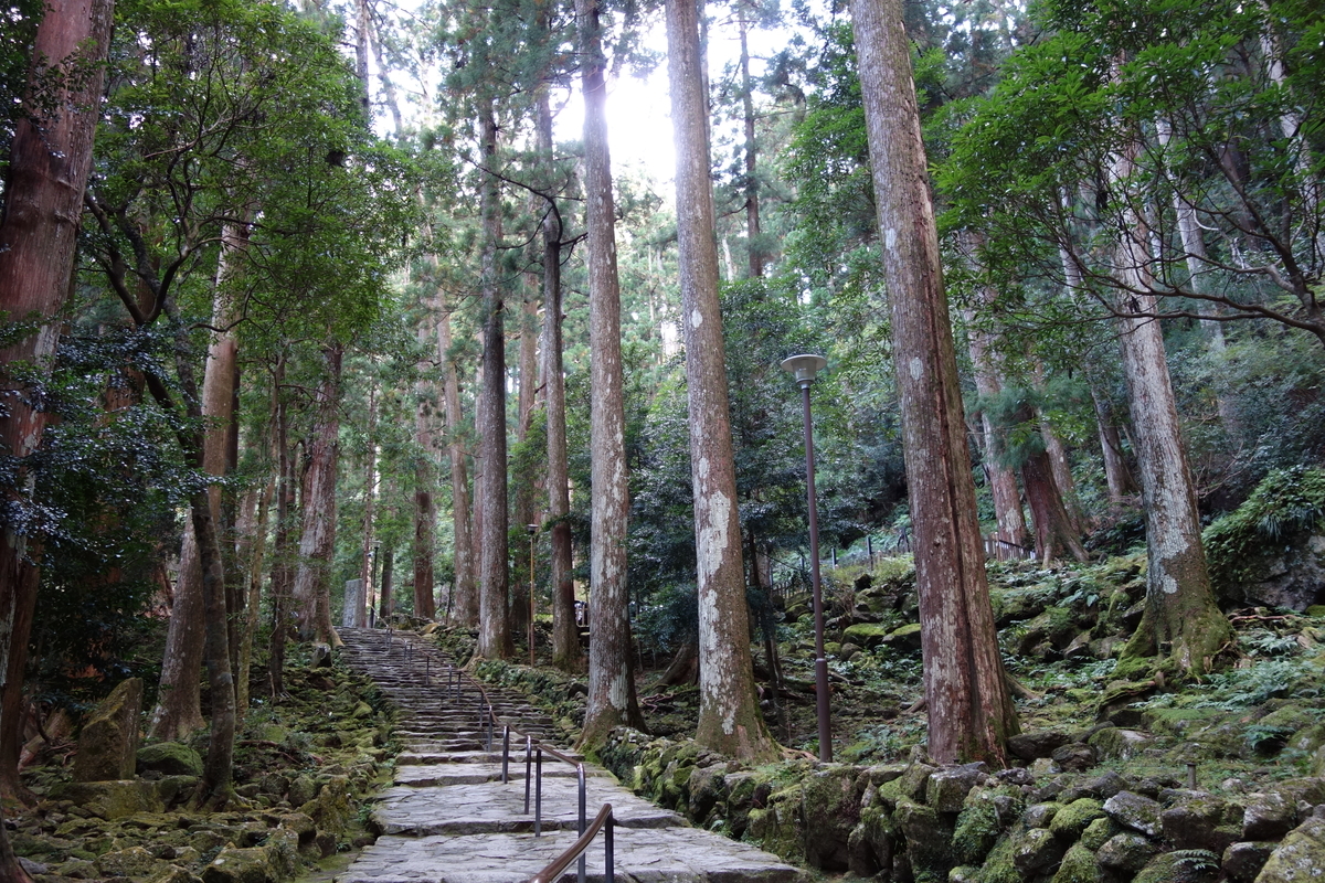 f:id:aozora-gokigen:20200530224920j:plain f:id:aozora-gokigen:20200530224920j:plain