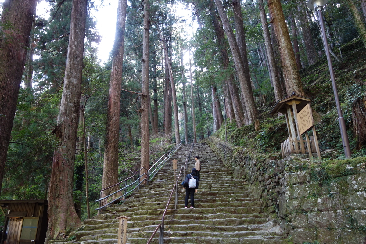 f:id:aozora-gokigen:20200530224921j:plain f:id:aozora-gokigen:20200530224921j:plain