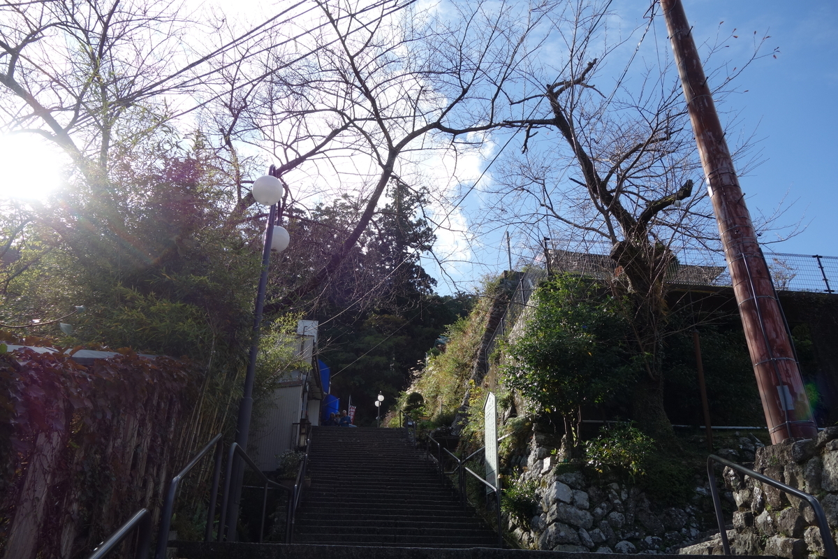f:id:aozora-gokigen:20200531145219j:plain f:id:aozora-gokigen:20200531145219j:plain