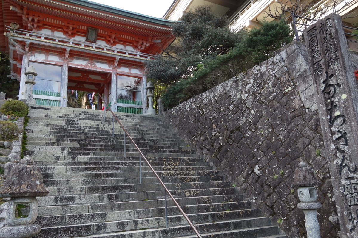 f:id:aozora-gokigen:20200531151153j:plain f:id:aozora-gokigen:20200531151153j:plain