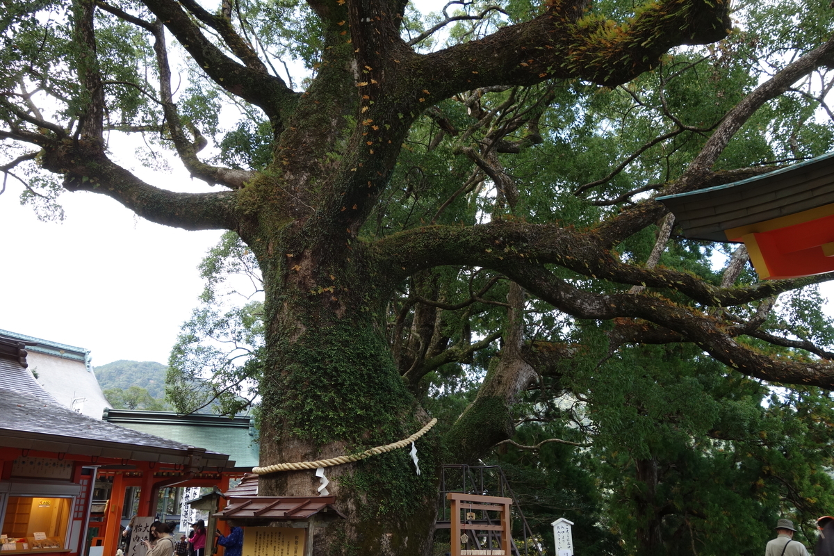f:id:aozora-gokigen:20200601154941j:plain f:id:aozora-gokigen:20200601154941j:plain
