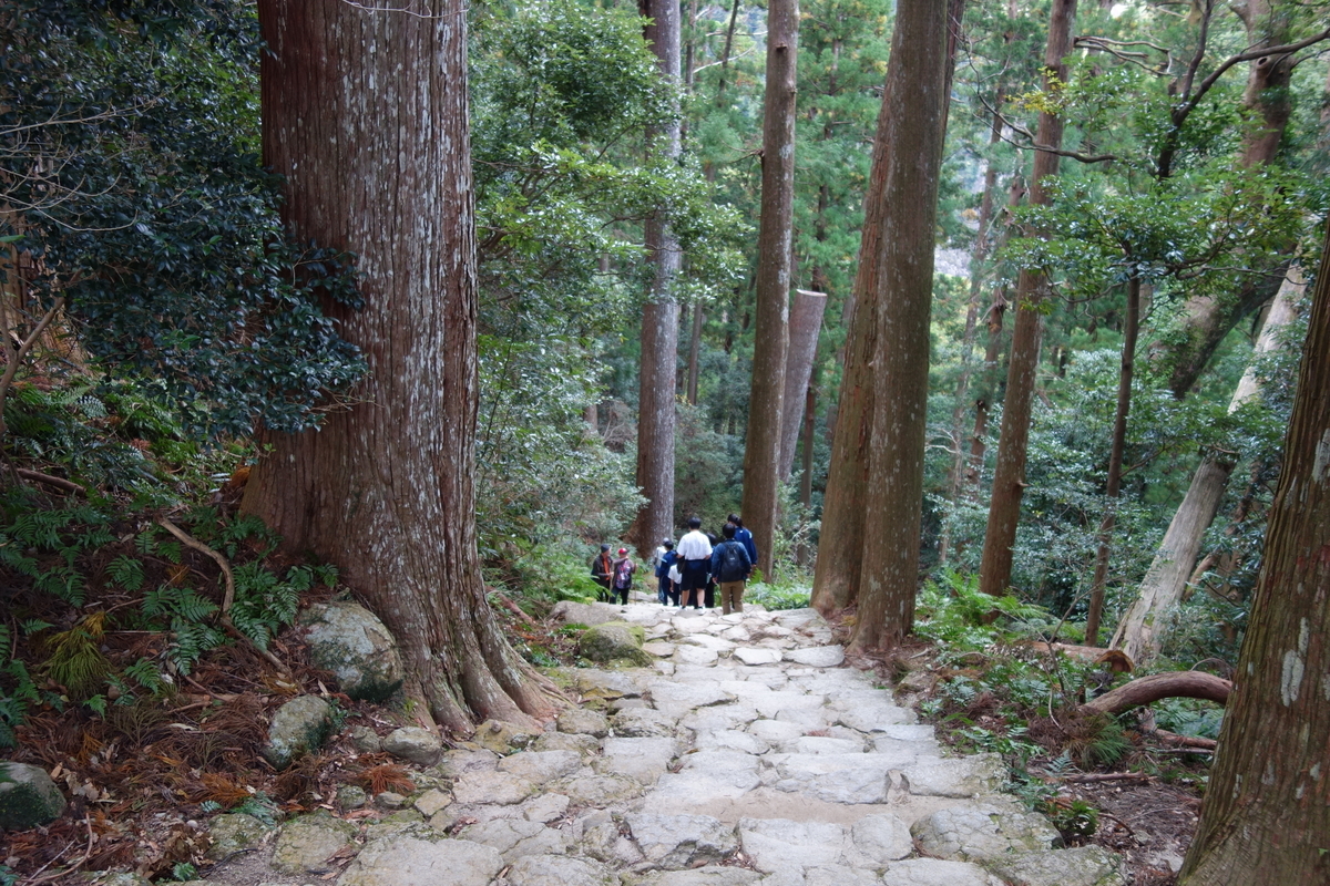 f:id:aozora-gokigen:20200601161008j:plain f:id:aozora-gokigen:20200601161008j:plain