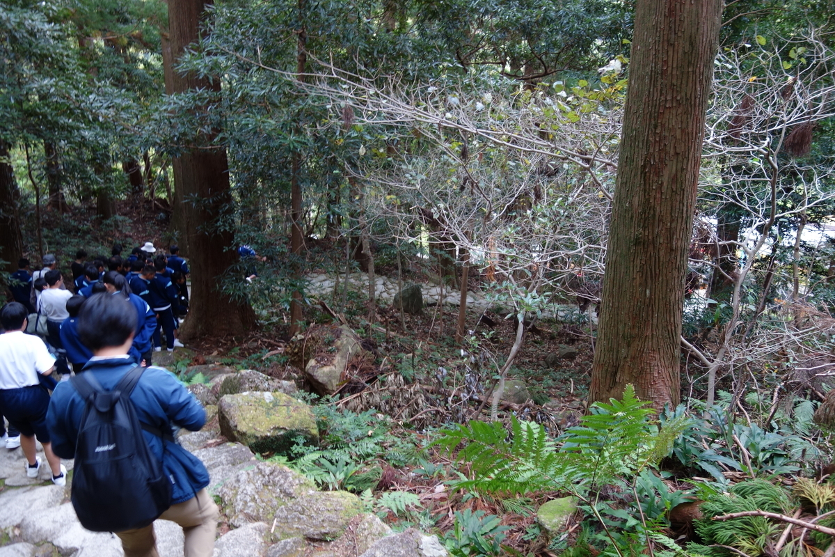 f:id:aozora-gokigen:20200601161014j:plain f:id:aozora-gokigen:20200601161014j:plain