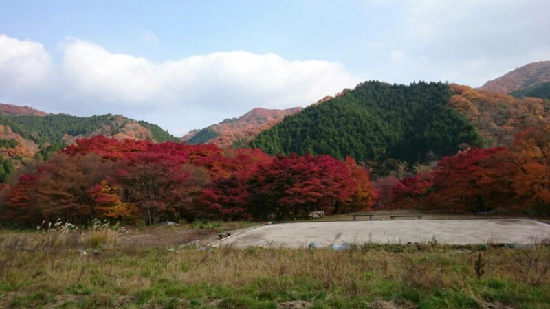 f:id:aozora-kyouaikai:20161118102134j:image:w360:left f:id:aozora-kyouaikai:20161118102134j:image:w360:left