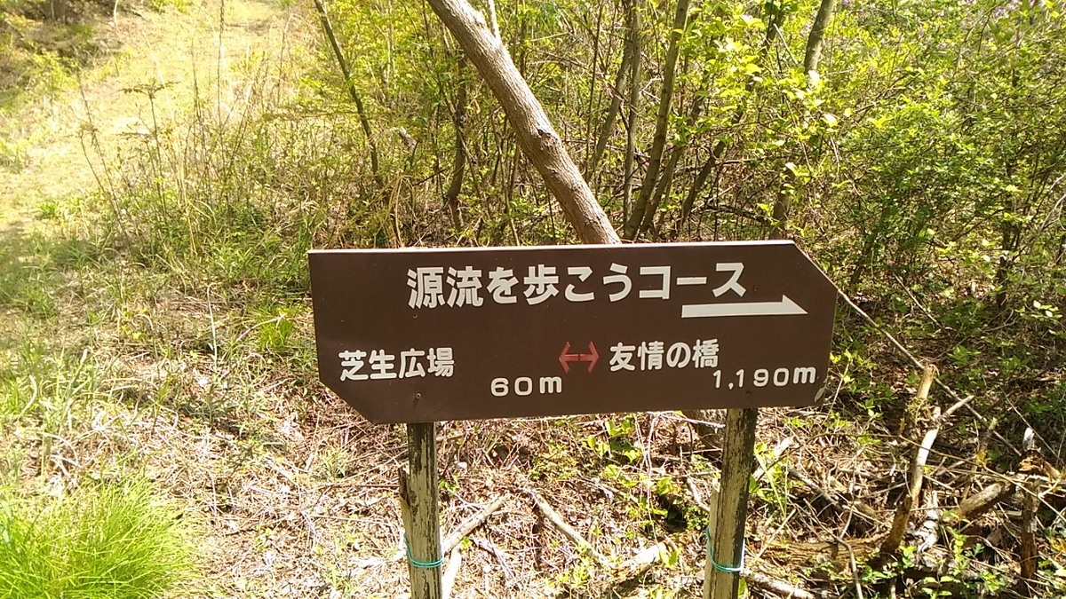 f:id:aozora-sanshimai:20190507230445j:plain
