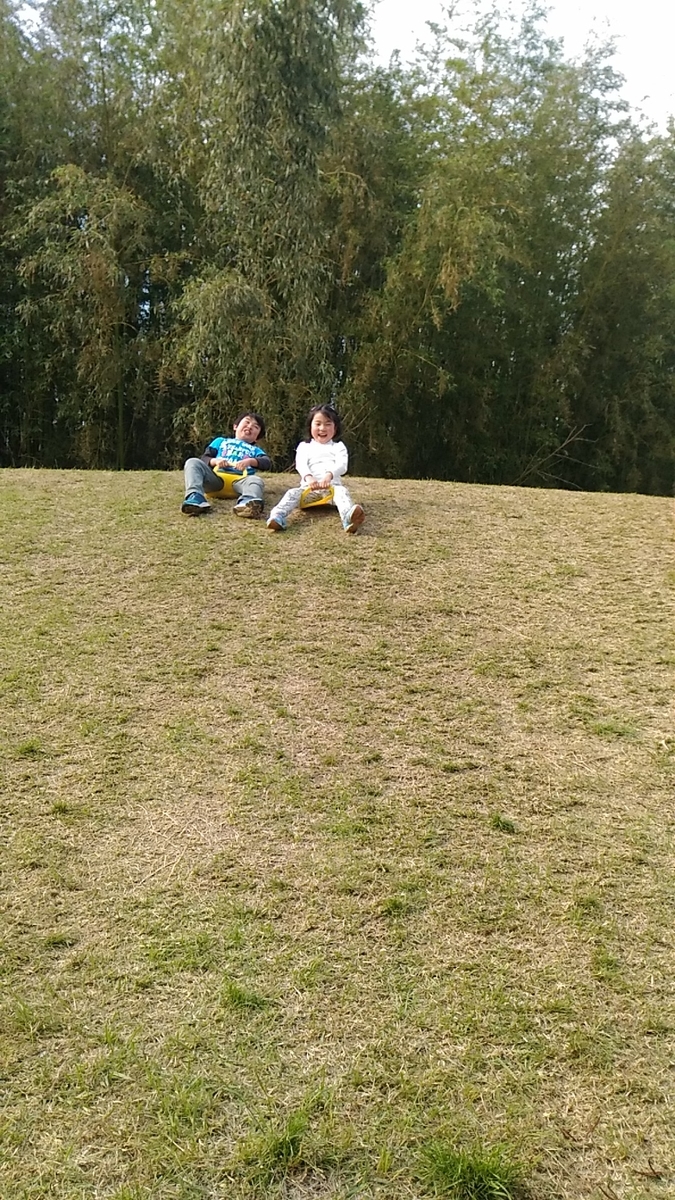 f:id:aozora-sanshimai:20190507230602j:plain