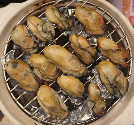 f:id:aozoragohan:20200224084654j:plain f:id:aozoragohan:20200224084654j:plain
