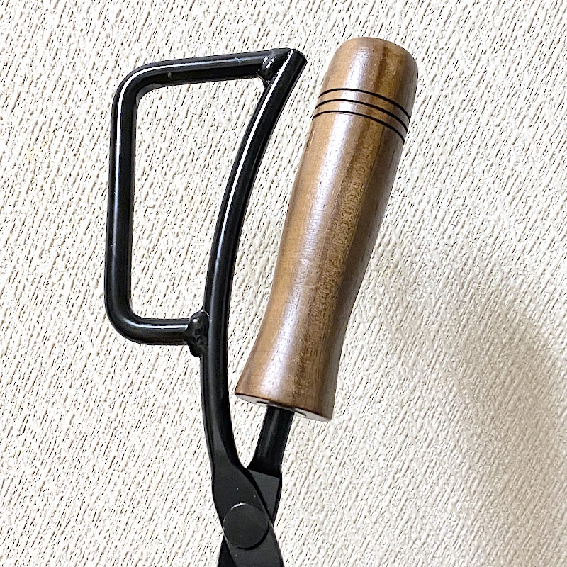 テオゴニア 買いました