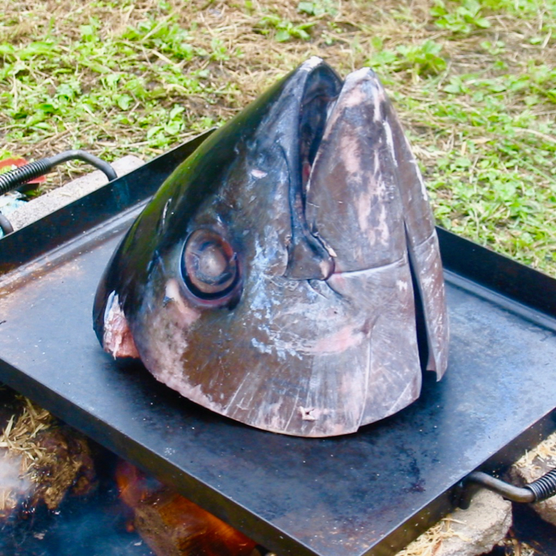 キャンプでマグロのカブト焼き